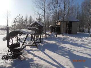 Дома для отпуска Žalesa Вильнюс Дом для отпуска с сауной-25