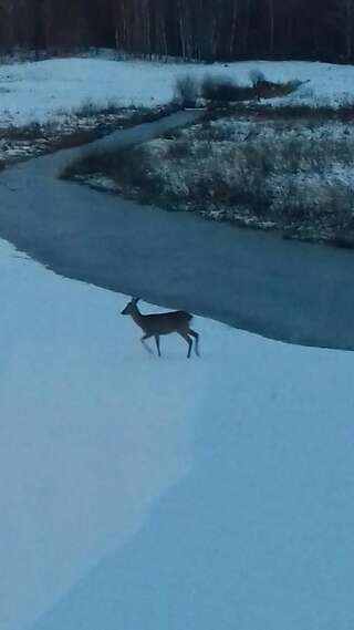 Дома для отпуска Žalesa Вильнюс Дом для отпуска с сауной-37