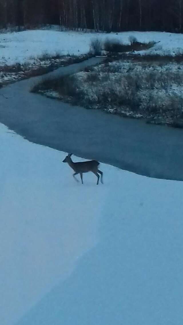Дома для отпуска Žalesa Вильнюс-39